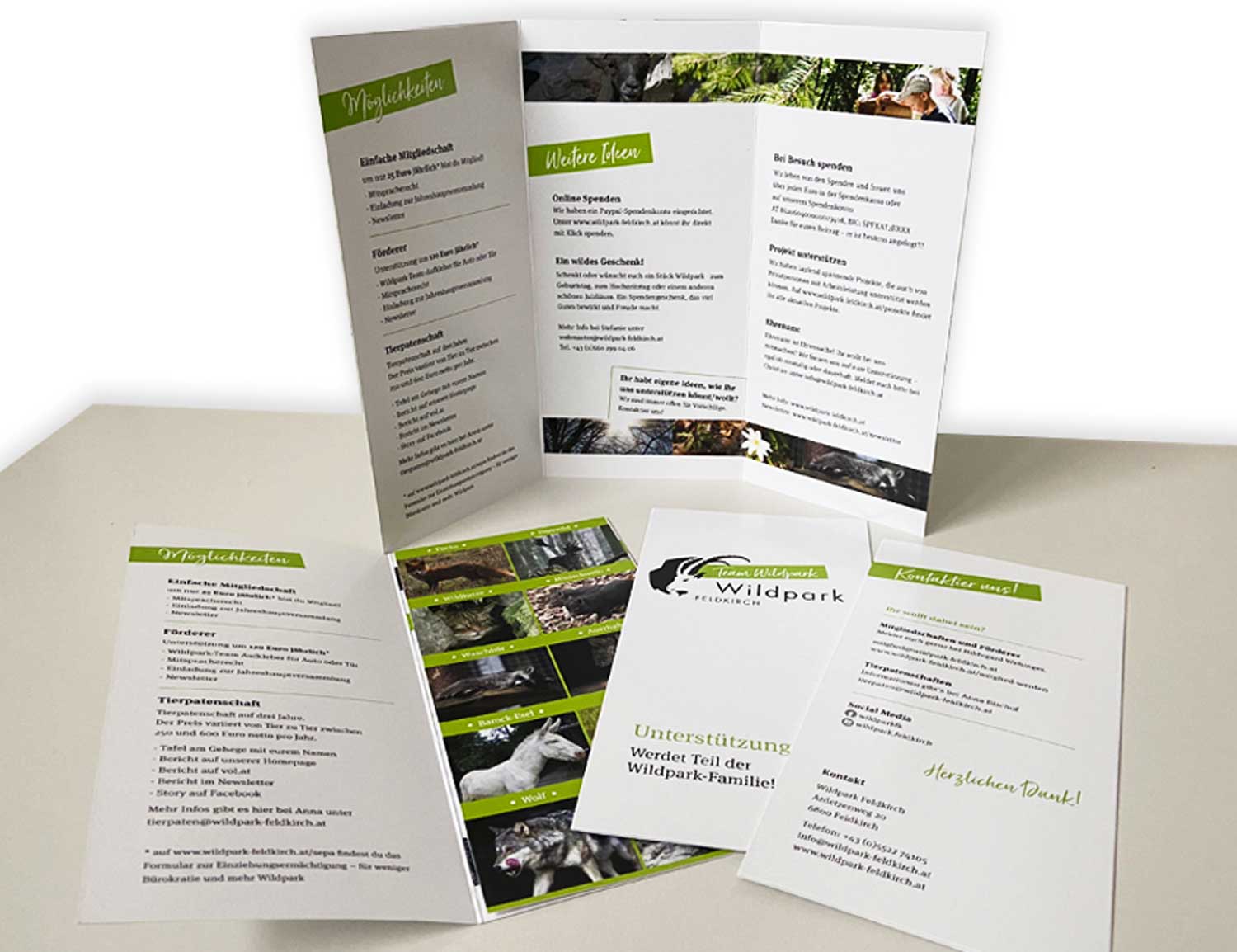 referenzen_grafik_wildkparkflyer